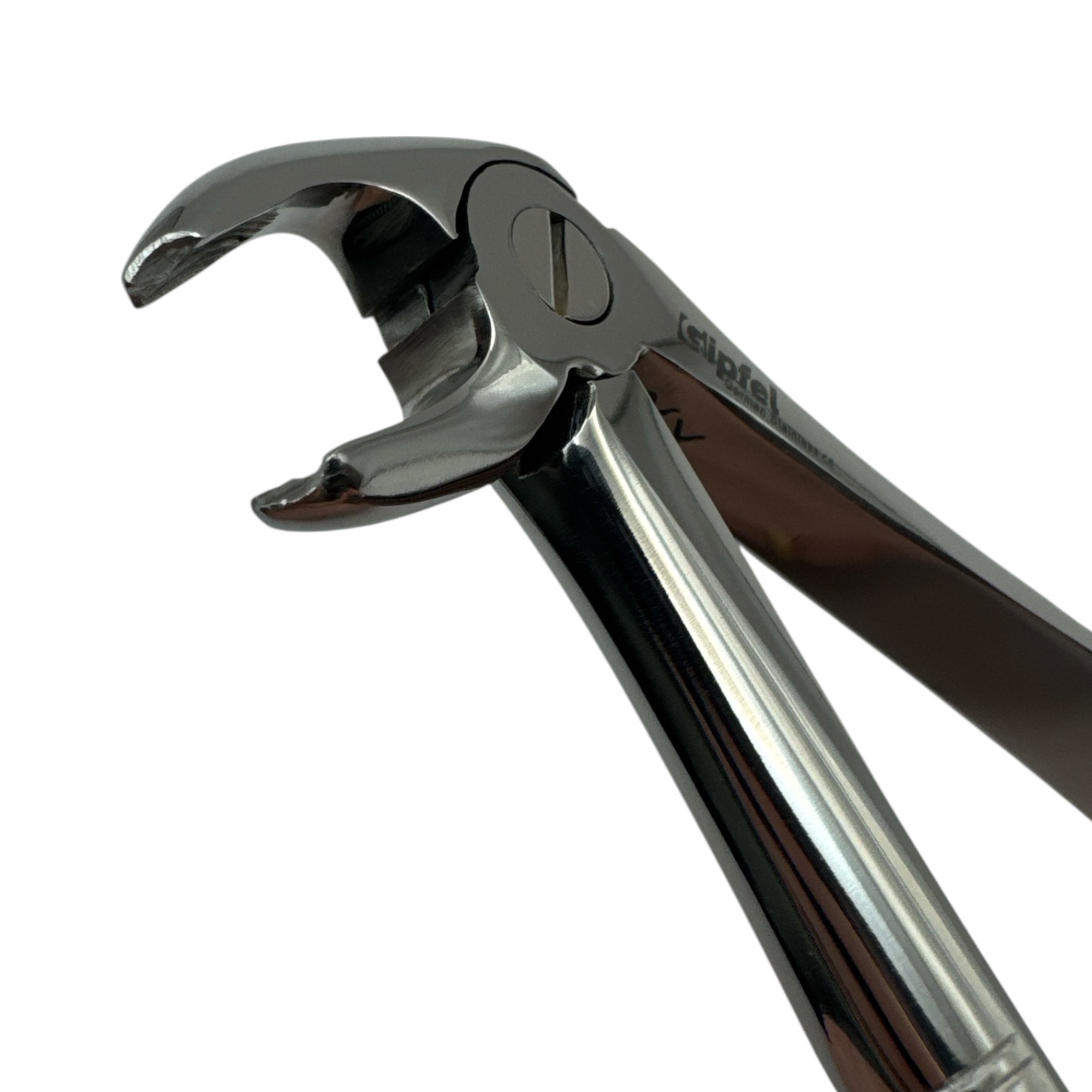 Forceps Pico de Loro Grueso - Imagen 2